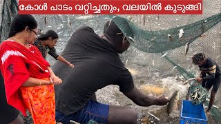 Thrissur Kole Wetlands  Adat Fish farming  കോൾ മത്സ്യകൃഷി [upl. by Iv639]