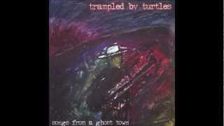 Trampled By Turtles  Drinkin in the Morning [upl. by Yeliw]