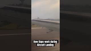 How Airplane Flaps work  Flaps  Slats  Flight Landing  IndiGo  airbus A320  shorts short [upl. by Tarsus]