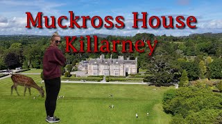 Ogrody Muckross House w Killarney [upl. by Nolly403]