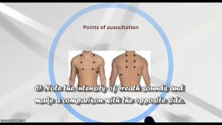 Respiratory auscultation sounds [upl. by Hurley]