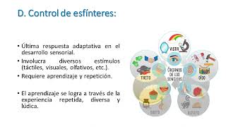 Capítulo 1 Fundamentos del proceso de control de esfínter [upl. by Bibeau334]