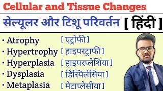 Cellular and Tissue Changes  Atrophy  Hypertrophy  Hyperplasia  Dysplasia  Metaplasia [upl. by Wincer]