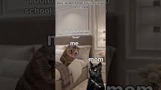 Cat meme when you dont want to go to school cat relatable meme [upl. by Uird]