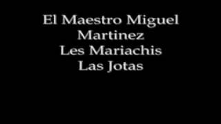 Las Jotas  Miguel Martinez [upl. by Montgomery]