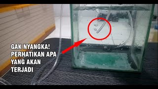 Cara Membuat Aerator Tanpa Listrik Dari Botol Bekas [upl. by Eirrok582]