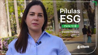 Pílulas ESG 13  Materialidade e GRI [upl. by Treblig930]