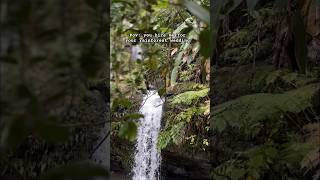 El Yunque rainforest elopement photography in Puerto Rico [upl. by Staford760]