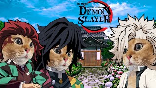 CAT MEMES  Demon Slayer  Compilation [upl. by Nassah]