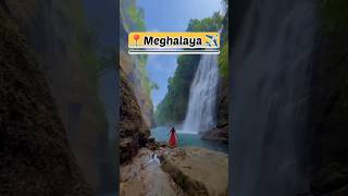 How to reach Meghalaya A travel guide  Kolkata to meghalaya tour guide  Meghalaya youtubeshorts [upl. by Blanchette484]