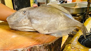 Huge leather jacket fish cutting  indore fish market [upl. by Astri850]