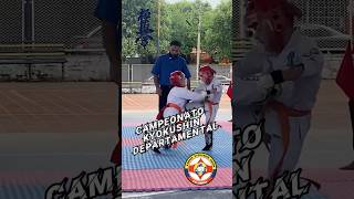 Campeonato departamental Kyokushin Unión Colombia [upl. by Lilybelle]