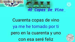 40 Copas De Vino Karaokequot De Tierra Cali [upl. by Ivey438]