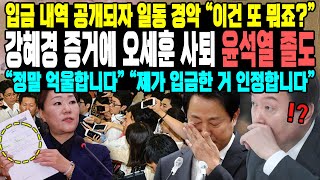 입금 내역 공개되자 일동 경악 “이건 또 뭐죠”강혜경 증거에 오세훈 사퇴 윤석열 졸도“정말 억울합니다” “제가 입금한 거 인정합니다” [upl. by Ahseikal]