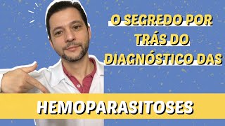 O diagnóstico das hemoparasitoses em cães e gatos [upl. by Mylander]