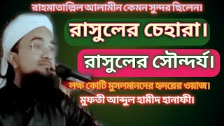 রাসুলের চেহারা। Muhammad Sa Koto Sundor CiloNew Waz মুফতী আব্দুল হামীদ হানাফী [upl. by Auroora]