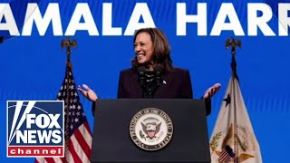 Democrat warns Kamala Harris is underwater in key swing state [upl. by Htiffirg113]