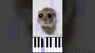 Sad Hamster Violin Meme  Piano Tutorial [upl. by Burkhard]