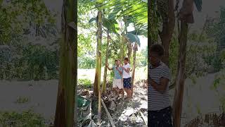 Akala nya naka hawak na sa saging comedy funny prank prankencounters funnyface prankkids [upl. by Eveam]