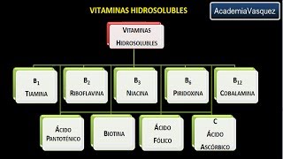 Vitaminas hidrosolubles Vitamina B3 o Niacina o Ácido nicotínico [upl. by Annerol]