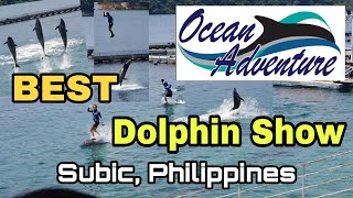 Best Dolphin Show  Outdoor Sea Dolphin Show  Ocean Adventure Dolphin Show  May 2019 [upl. by Jamal487]