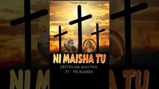 NI MAISHA TU by the way DESTIN Mr And One Direction de ft PIS MAMBA I Audio Official [upl. by Wrand]