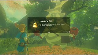 Zelda BotW 900 Korok Seeds Reward  Hestus Gift 100 Koroks Complete [upl. by Marden]