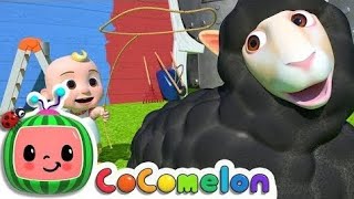 Baa Baa Black Sheep  CoComelon Nursery Rhymes amp Kids Songs [upl. by Marius]