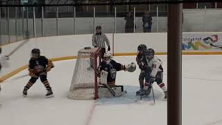 Sports hockey tournament is your favourite games at Port Credit Memorial Arena [upl. by Lathrop]