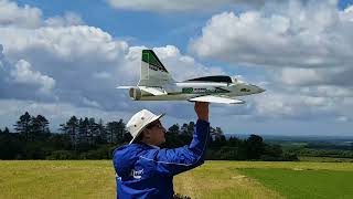 Flying my EDF Sportjet  this model is over 10 years old [upl. by Roots]