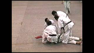 KYOKUSHIN vs SHOTOKAN Karate Head Kick KNOCKOUT [upl. by Buell679]