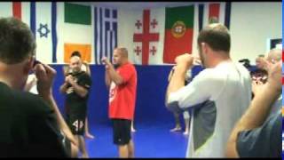 Fedor MMA Boxing Fundamentals [upl. by Reiners349]