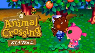 Animal Crossing Wild World  Its Turnip Timeagain [upl. by Walburga]