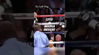 Cotto Vs Mayorga Highlights sports boxing [upl. by Ahsyla386]