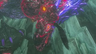 Zelda Breath of the Wild Naydra Secret Boss Fight [upl. by Ethbinium]