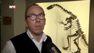 RFH aktuell 2017 02 10  Jurassic Harz  Dinosaurier Ausstellung  Kinderkrebshilfe  Pokal [upl. by Laroc738]