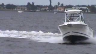 Bayliner Trophy Water test video [upl. by Saum899]