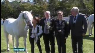 The 2011 Connemara Pony Show Clifden Ireland [upl. by Eeleimaj]