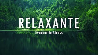 Musique relaxante pour lisolement et la tranquillité desprit arrêtez lanxiété• Évacuer le Stress [upl. by Enaujed]