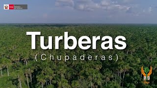 Viva el bosque  Turberas [upl. by Ninahs]