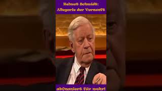 Helmut Schmidt Allegorie der Vernunft politics kokoharry shorts allegoriedervernunft [upl. by Ness]