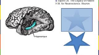 Intro to Nervous System [upl. by Assen163]