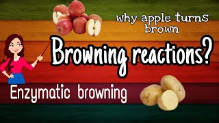 Browning reactions Part 1Enzymatic Browning reactions l Food science [upl. by Bryana]