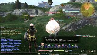 10 FINAL FANTASY XIV  117 Thaumaturge demonstration [upl. by Etnecniv]