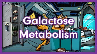 Galactose Metabolism Mnemonic  USMLE Preview [upl. by Belanger]