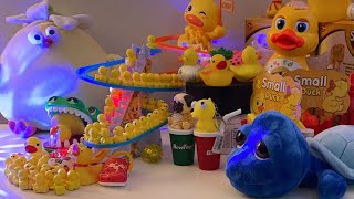 LET’S PLAY asmr asmrsounds asmrvideo satisfying relaxing toys duck cute play show shorts [upl. by Chellman]