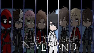 Fandoms react to Ray  18  The Promised Neverland  Bad English  《¤Who I am¿》 [upl. by Adnawahs]