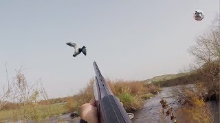 Chasse au Canard Superbes Images  Partie 2 Gopro [upl. by Esylla]