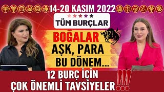 1420 KASIM 2022 NURAY SAYARI BURÇ YORUMLARI BOĞALAR AŞK PARA BU DÖNEM [upl. by Ttegirb]