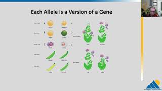 BIOL201 Ch111  The Process of Meiosis [upl. by Ardnauqal]